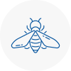 Bee Nest Removal Bermondsey
