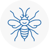 Bermondsey Hornet Nest Removals
