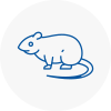 Rat Control Bermondsey