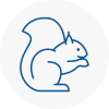 Bermondsey Rodent Removals