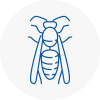 Bermondsey Wasp Nest Removal